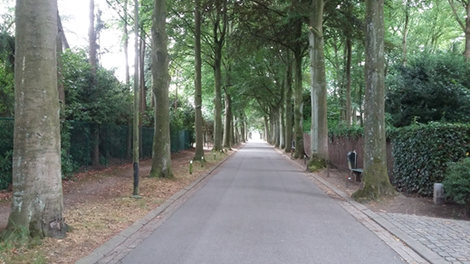 Solhofdreef - Onroerend Erfgoed