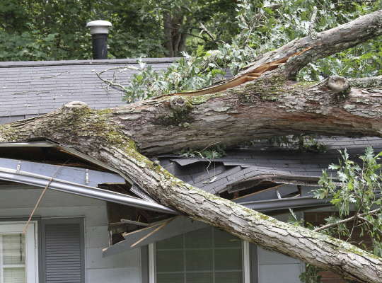 Vlaams Rampenfondsdecreet vereenvoudigt schadevergoedingsprocedure
